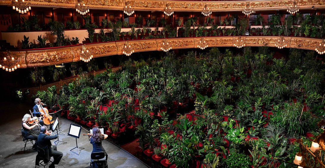 Barcelona Opera House Reopens To Concert For 2,292 Plants