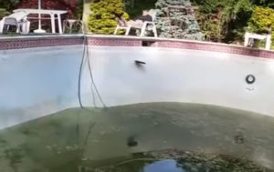 The Ol' Frisbee Around The Empty Pool Trick Shot
