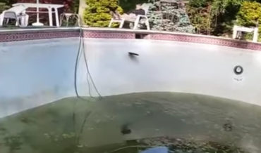The Ol’ Frisbee Around The Empty Pool Trick Shot