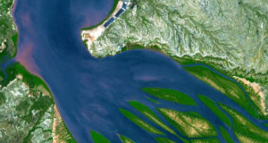 A Bay That Looks Like A Giant Octopus When Viewed From Above