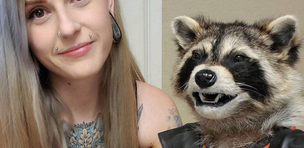 Oh Wow: Woman Taxidermies A Real-Life Rocket Raccoon