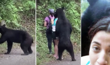 Yikes: Hikers Venture Across Bear, Bear Offers Hugs, Poses For Selfie