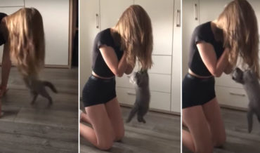 Just A Kitten Dangling From A Woman’s Hair