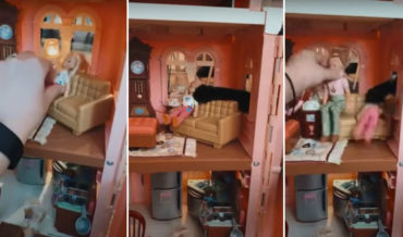 Gimme That!: Cat Snatches Doll Through Window Of Dollhouse