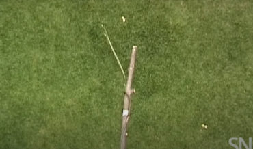 Whoa: Flying Snake Launches Itself 30-Feet From Tree Branch