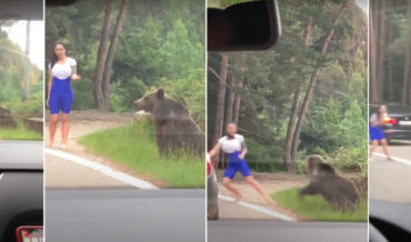 Poor Decision Making: Model Trying To Have Photo Taken With Wild Bear