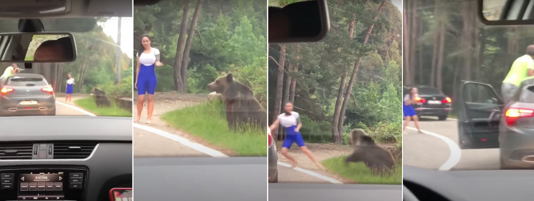 Poor Decision Making: Model Trying To Have Photo Taken With Wild Bear