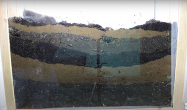 Man Catches Mole In Yard, Puts In Ant Farm Style ‘Mole Farm’ To See How It Digs