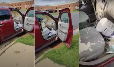 Having A Bad Day?: Aftermath Of Guy Spilling Entire Paint Bucket In Car