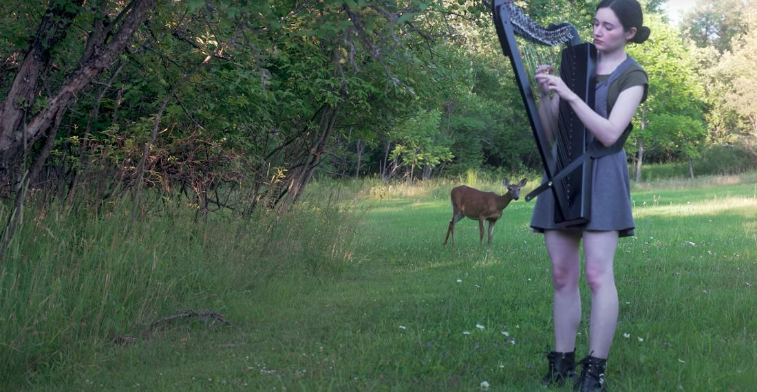 Deer Comes To Inspect Woman Performing ‘The Sound Of Silence’ On Harp In Meadow