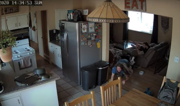 Girl Panics Seeing Spider, Tries To Make A Run For It