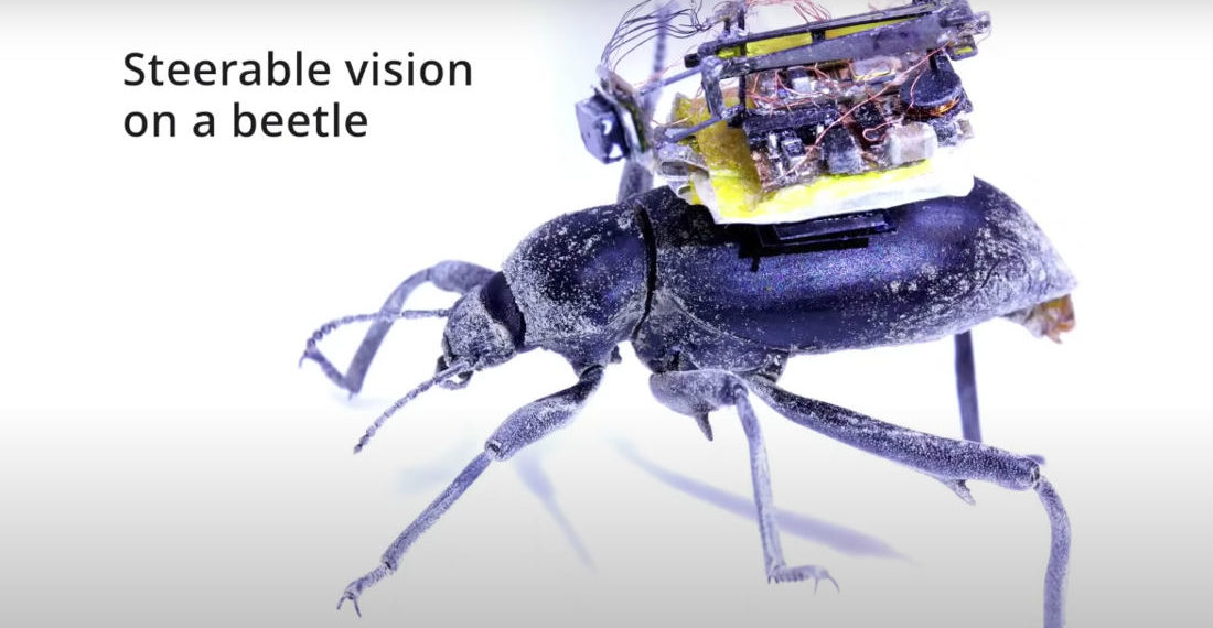 The Terrifying Future Nears: Attaching Tiny Pannable Cameras To The Back Of Beetles