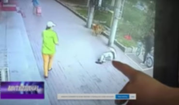 Cat Falls On Man While Walking Dog, Knocks Him Out Cold