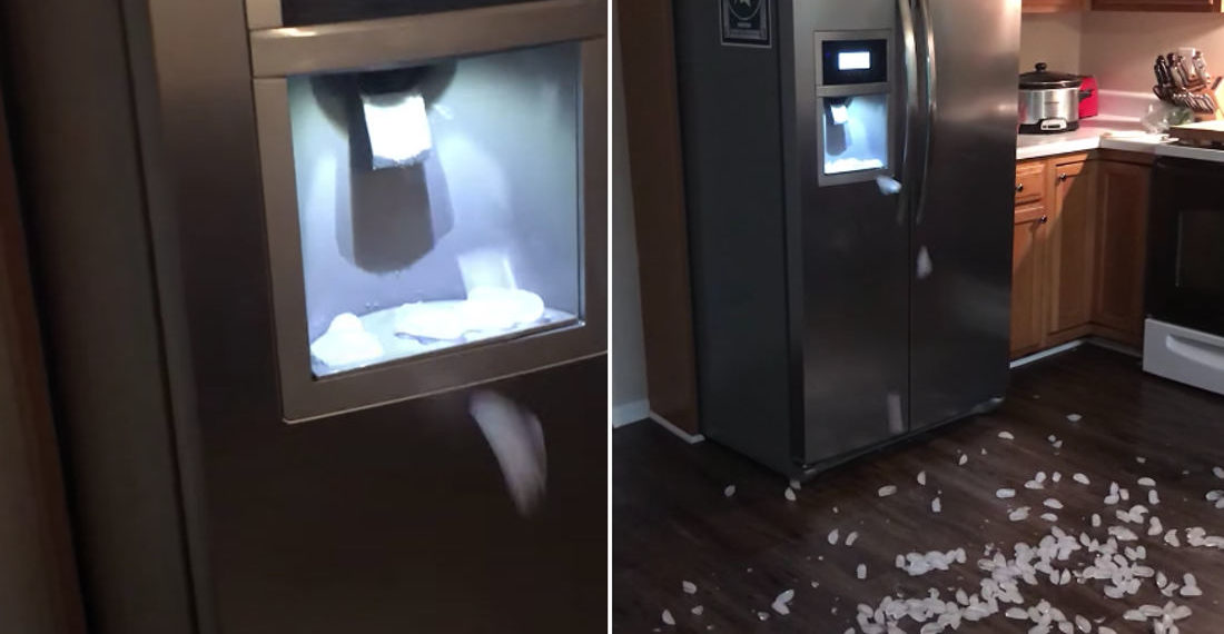 Refrigerator’s Ice Cube Maker Just Keeps Spitting It All Out On The Floor
