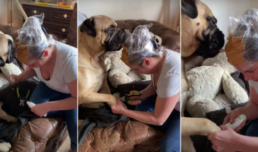 Problem Solving: Calming Anxious Dog While Cutting Its Nails By Covering Your Head In Peanut Butter Head