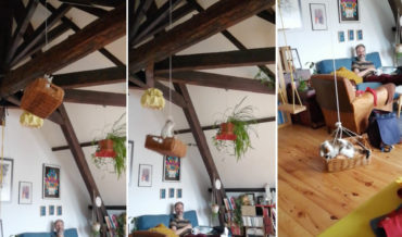 Lady Builds Indoor Cat Elevator For Pet Cat To Ride All Day
