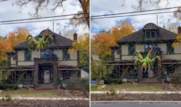 Taking Halloween Seriously: A Giant Inflatable Spider That Crawls Down Its House-Sized Web