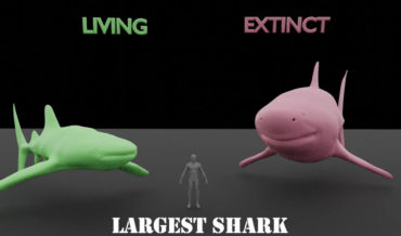 Comparing The Largest Living Vs Extinct Animals Of Same Species