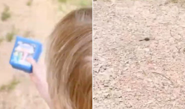 Awww: Kid Asks If Dragonfly Is A Baby Helicopter