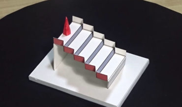 The Best Optical Illusion Of 2020 Winner