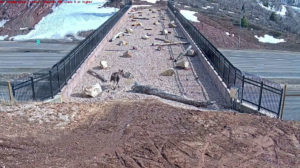 Video Of Animals Crossing Utah Highway Using 'Wildlife Overpass'