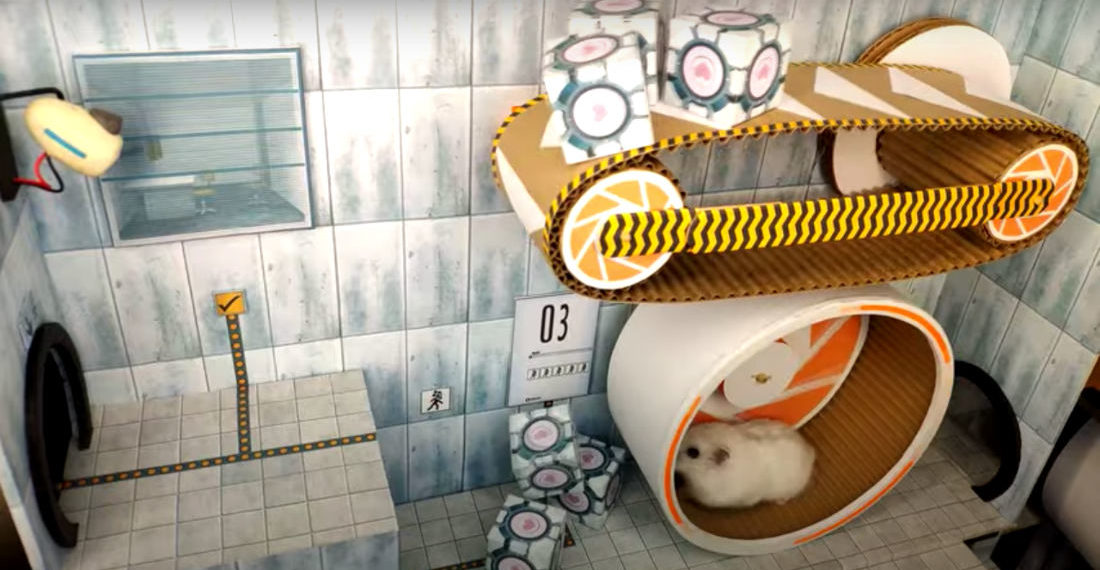 Awww: Hamster Navigates Portal Themed Test Chambers Constructed By Owner