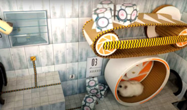 Awww: Hamster Navigates Portal Themed Test Chambers Constructed By Owner