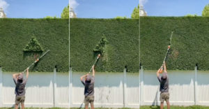 A Compilation Of Very Satisfying Hedge Trimming Finishes