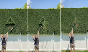 A Compilation Of Very Satisfying Hedge Trimming Finishes