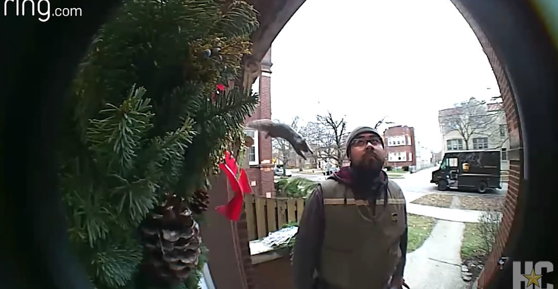 Surprise!: Squirrel Jumps On UPS Delivery Driver Waiting At Door