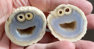 Geologist Halves Rock To Reveal Near Perfect Cookie Monster Faces