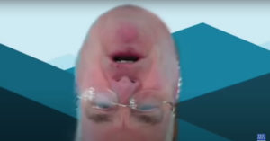 House Representative Appears Upside-Down During Virtual Committee Meeting