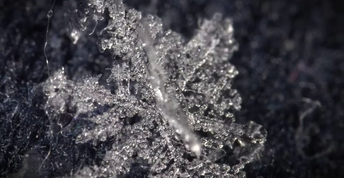 Whoa: Macro Shots Of Snowflakes Melting, Played In Reverse