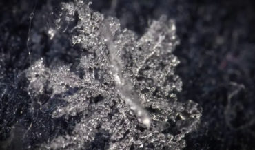 Whoa: Macro Shots Of Snowflakes Melting, Played In Reverse