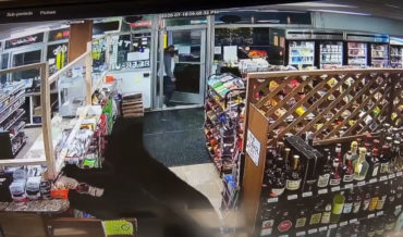 Bear Inside Alaskan Market Scares Customer Away