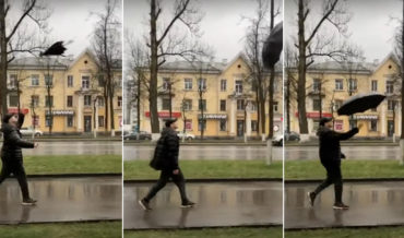 Smooth: Man Throws Umbrella As It Opens, Air Catches It, He Catches It