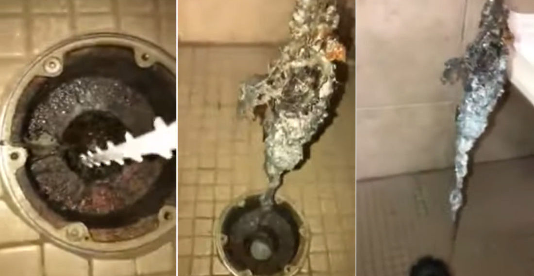 I Think I’m Gonna Be Sick: ‘The Daily Sights Of Cleaning Hotel Drains’