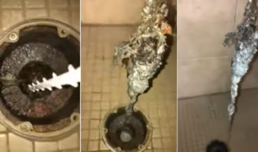 I Think I’m Gonna Be Sick: ‘The Daily Sights Of Cleaning Hotel Drains’