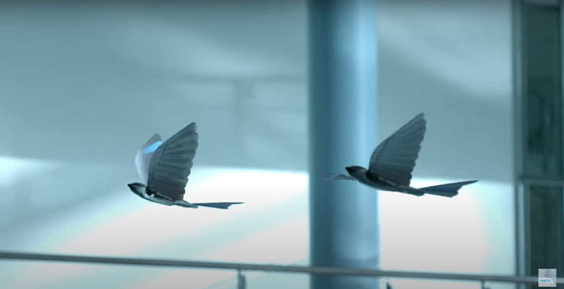 Festo Demonstrates Its Latest Generation Of Autonomous Flying Robotic Birds