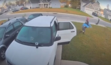 Rabid Bobcat Attacks Man’s Wife, He Picks It Up And Gives It A Toss
