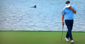 'Lake Monster' Spotted Behind Putting Golfer At Championship