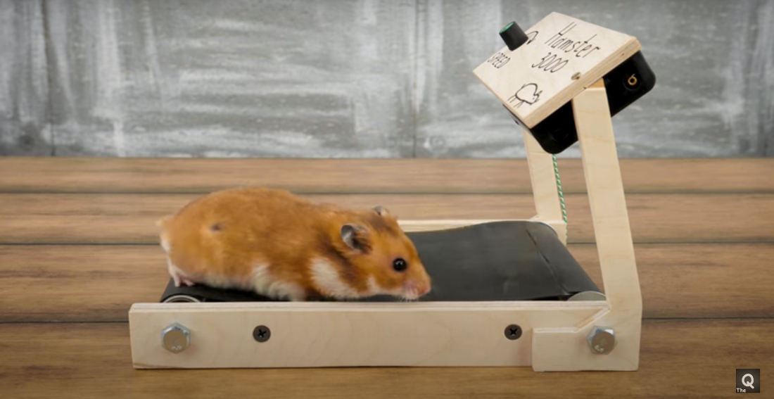 Man Builds Miniature Treadmills For His Hamsters