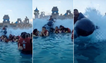 Man Riding Inflatable Orca Surfs Over Other Swimmers In Wave Pool