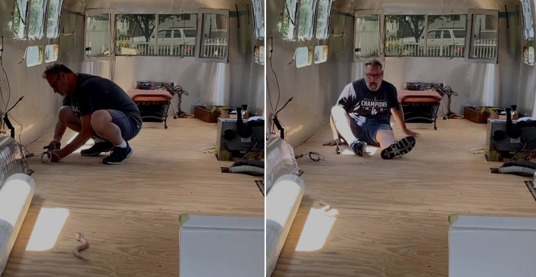 Woman Pranks Husband With Realistic Remote Controlled Snake