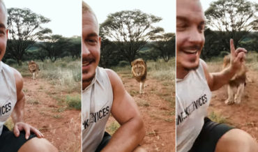 Man Catches Lion Friend Trying To Sneak Up On Him