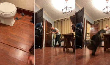 Rope Bone On Fishing Line Fake Snake Prank Gets Husband Good