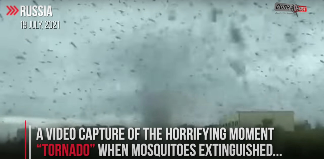 Oh, You Know, Just A Massive Mosquito Tornado In Russia