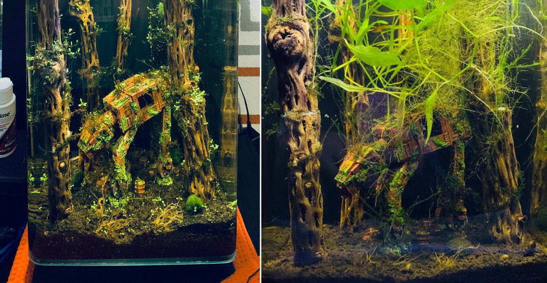 Abandoned Star Wars AT-AT In Fish Tank