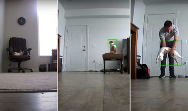 Awww: Home Security Cam Of Cat Getting Up To Greet Owner Returning Home