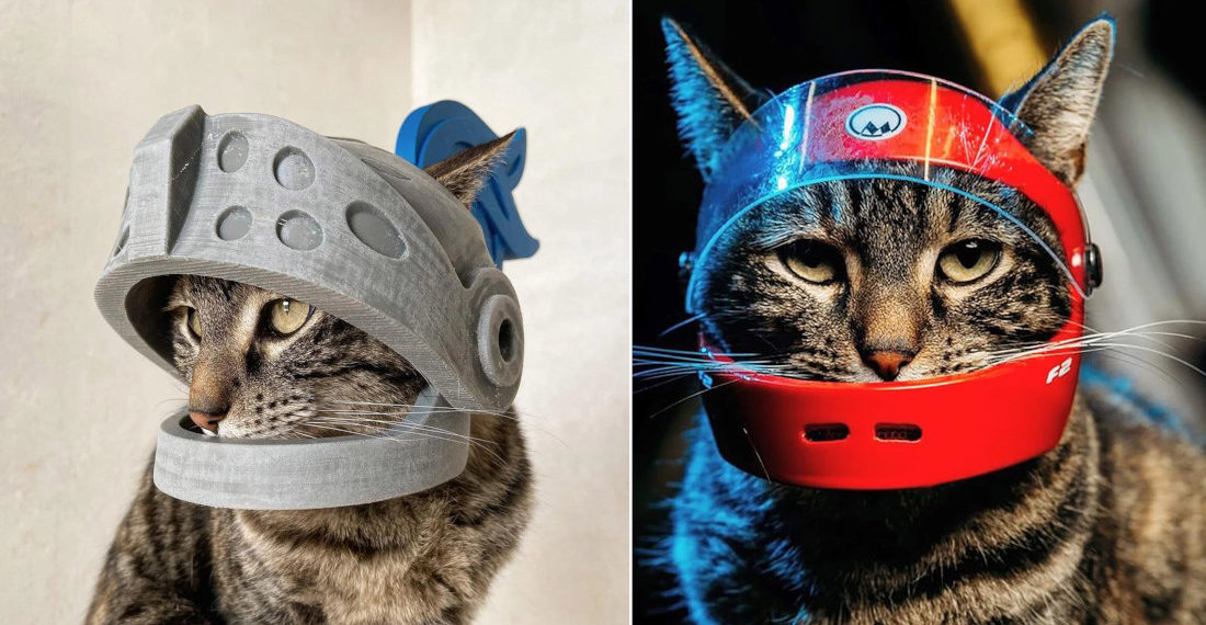 Man 3D Prints Helmets For His Cat